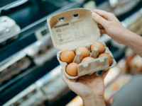 ANPC a amendat comercianții de ouă. Ce nereguli au descoperit inspectorii