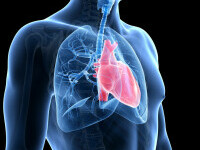 Ce este testul cardio-pulmonar, recomandat după vârsta de 35 de ani