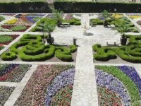 Spectacol de culori în grădina botanică din Balcic. Mii de lalele înflorite pot fi admirate de turiști