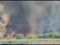 Incendiu de proporții în Delta Dunării. Intervenția pompierilor a fost extrem de dificilă