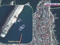 Rusia apelează la delfini militari la baza sa navală din Marea Neagră, pentru a se proteja de un atac subacvatic