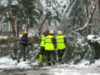 Arbori rupți sub greutatea zăpezii ade aprilie, la Brașov. Peste 100 au fost îndepărtați de echipele de intervenție.