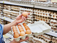 Prețul ouălor în România în 2023: câți bani dau românii pe ouă lunar, față de anul trecut 