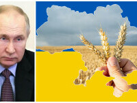 cereale ucraina