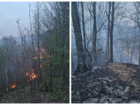 Incendiu de vegetaţie uscată care s-a extins pe 50 de hectare, în Prahova. Arde litieră, lăstăriş şi masă lemnoasă