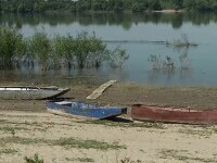 România fierbe sub un val de căldură. Au început să moară peștii în lacuri, Dunărea a secat