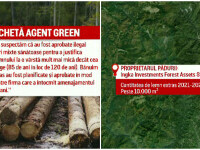 IKEA, acuzată că taie ilegal copaci din pădurile pe care le deține în România. „Parcelă cu parcelă rad tot”