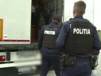 Descoperirea făcută de polițiști într-un TIR, în vama Nădlac II. Au ieșit dintre rolele de hârtie | FOTO