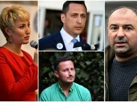 candidati independenti, europarlamentare, Pirvanescu, Silvestru, Gheorghe, Stefanut