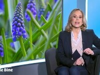 Doctor de bine. Emisiunea integrală din 6 aprilie 2025