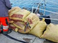 Constanţa: Pescador neînregistrat, cu motor furat, depistat pe mare; la bord erau 760 kg de calcan şi vulpe de mare