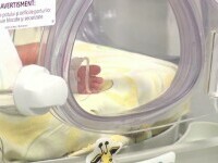 bebelus incubator