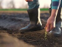 Un bărbat din Olt a sunat la 112 după ce a făcut o descoperire neașteptată în timpul unor lucrări agricole