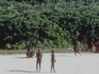 tribul sentinelese