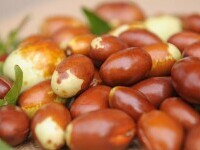 Porumbul rezistent la secetă, arahidele și fasolița ar putea salva agricultura românească de la dezastru. “Avem și curmale”