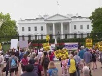 proteste trump