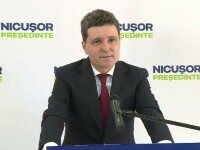 nicusor dan