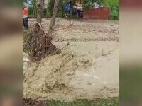 inundatii