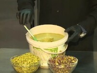 Prețul fisticului a explodat. Cererea uriașă pentru ciocolata Dubai a provocat acest fenomen