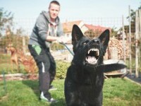 Caine
