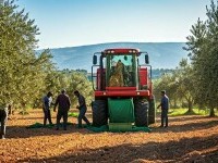 Fermierii americani avertizează: „Criza tarifelor nu este iminentă, este deja o criză în toată regula”