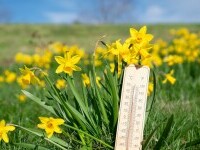 Vremea azi, 12 iulie. Temperaturile maxime vor ajunge la 33 de grade. Zonele unde va ploua