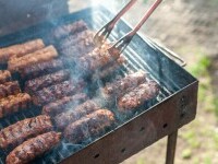 mici