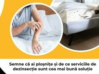 (P) Semne că ai ploșnițe și de ce serviciile de dezinsecție sunt cea mai bună soluție