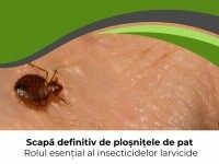 (P) Scapă definitiv de ploșnițele de pat – Rolul esențial al insecticidelor larvicide