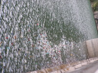 Lacul de la barajul Bicaz se transformă încet, încet în groapă de gunoi!