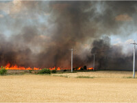Un incendiu devastator a distrus hectare intregi de camp