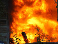 Incendiile fac ravagii in Malibu! 20 de hectare de vegetatie au ars