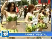 Tokyo: vezi ce se mai poarta la protestele vegetariene!