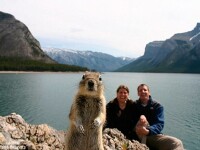 Identificati turistul din poza urmatoare!