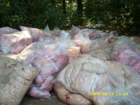 Focar de infectie! Carne stricata aruncata la marginea soselei