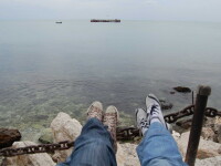 Din secretele vecinilor bulgari: midiile de la cap Kaliakra