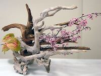 ikebana