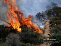 Incendii California