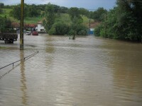 Inundatii