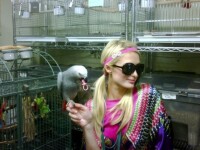 Paris Hilton