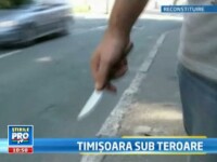 timisoara