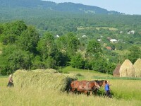 Maramures