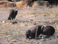 Nilgunyalcin: vultur vs copil