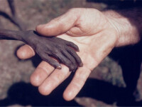 GALERIE FOTO TULBURATOARE. Drame insuportabile chiar si pentru fotografi. Care dintre ei s-a sinucis