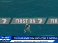 VIDEO. Momentul in care un barbat este salvat in ultima clipa din apa plina cu rechini