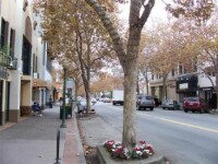 Palo Alto