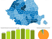 Infografic minoritati