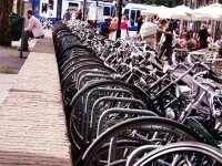 biciclete Olanda