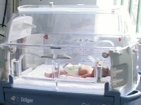 copil incubator