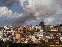 Invazie de lacuste in Madagascar